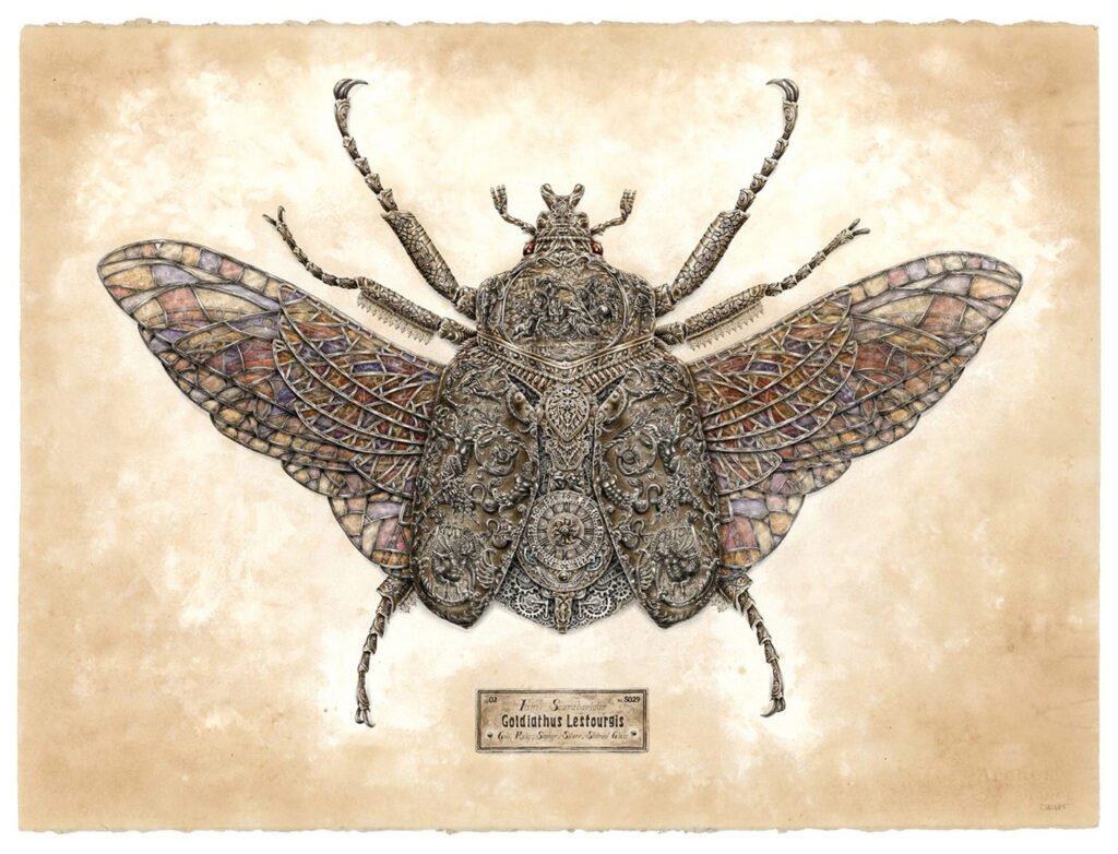 Detailed drawing of Steeven Salvat depicting an insect